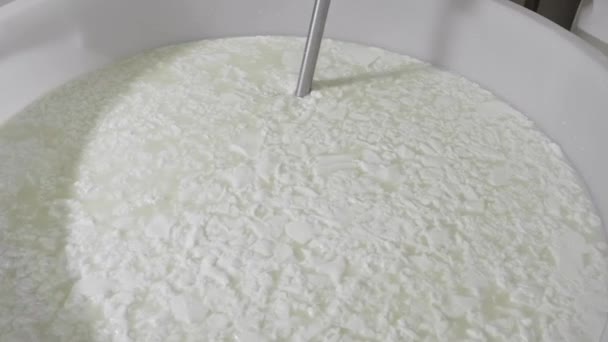 İtalyan mozzarella üretim süreci — Stok video