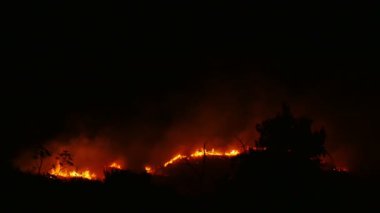 Bir orman yangını yanan turuncu ve kırmızı