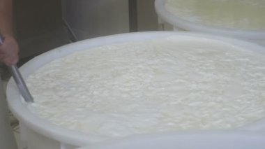 İtalyan mozzarella üretim süreci