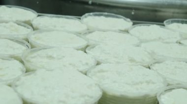 İtalyan mozzarella üretim süreci