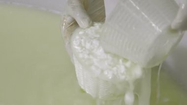 İtalyan mozzarella üretim süreci