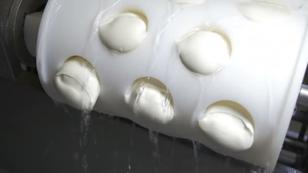 Production process of Italian mozzarella — Stock Video