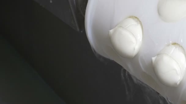 Proceso de producción de mozzarella italiana — Vídeo de stock