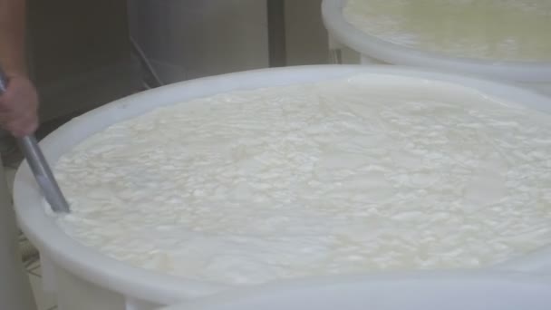 Proceso de producción de mozzarella italiana — Vídeos de Stock