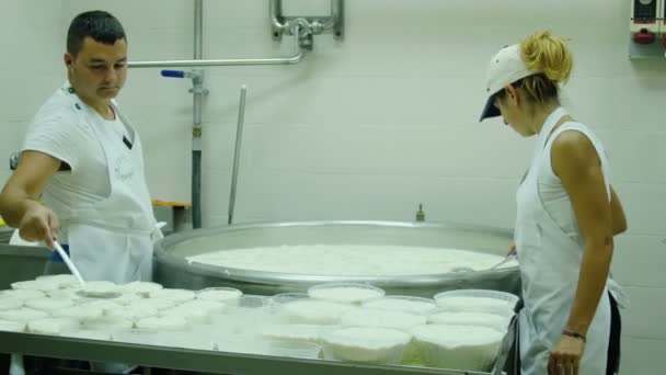 Üreten fabrika mozzarella — Stok video