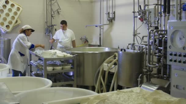 Fabriken producerar mozzarella — Stockvideo