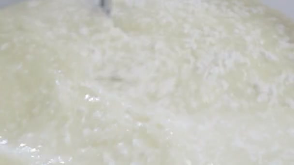 Processus de production de mozzarella italienne — Video