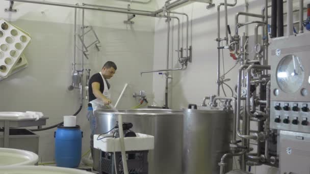 Factory producing mozzarella — Stock Video