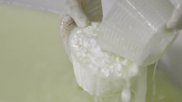 İtalyan mozzarella üretim süreci — Stok video