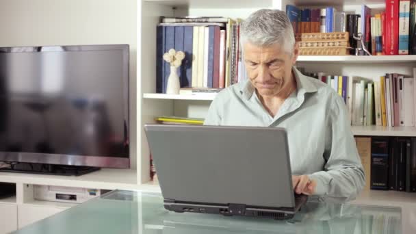 Vacker man använder dator i sitt kontor: laptop, web, skrivande, vardagsrum — Stockvideo