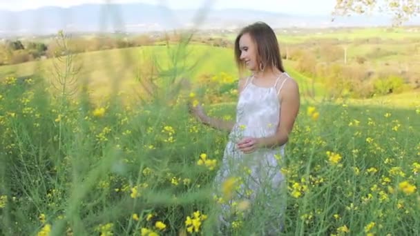 Mulher em um mar de flores — Vídeo de Stock