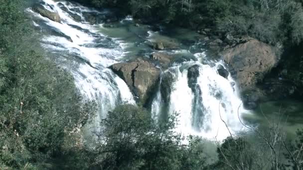 Río cascada limpia en Brasil — Vídeos de Stock