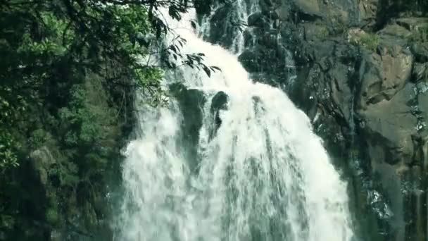 Sauberer Wasserfall — Stockvideo