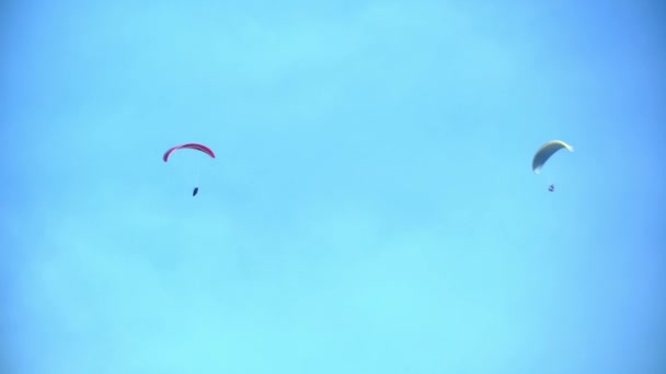 Dos parapentes en el cielo — Vídeo de stock