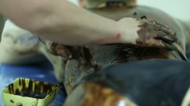 çikolata bir kaplıcada kullanarak Cilt Masaj