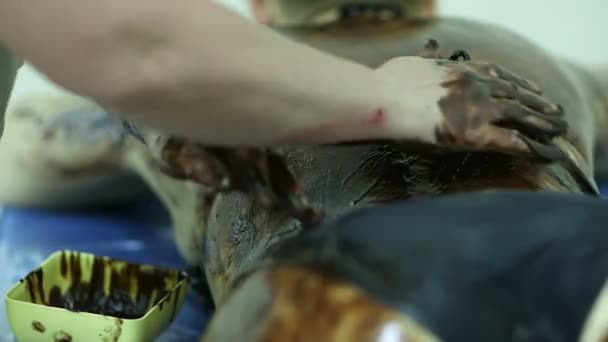 Массаж кожи с помощью шоколада в спа — стоковое видео