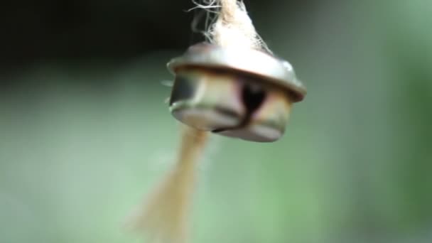 Bell hanging on a ribbon in the wind — Stock Video