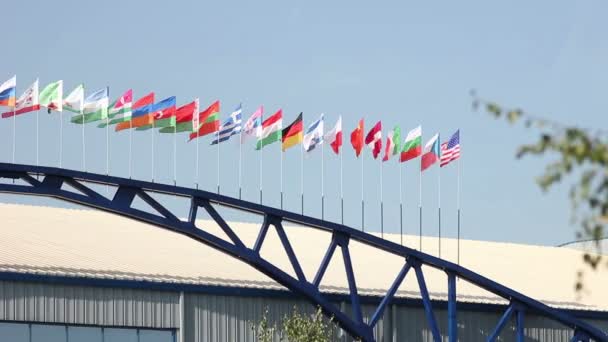 Brandissant des drapeaux nationaux — Video