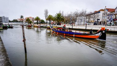 Aveiro şehrinin merkez kanalında bulunan renkli gondollar.