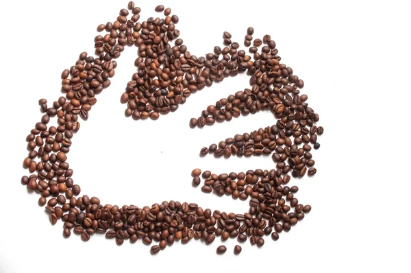 Kaffeebohnen Palme hend — Stockfoto