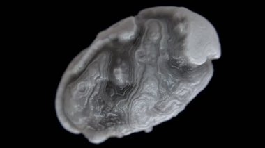 Kuantum madde döngüsünün organik hareketi