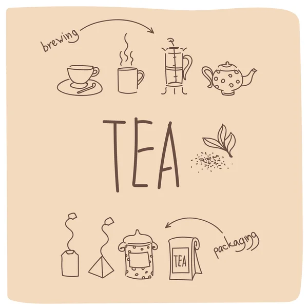 Vector illustration of tea ceremony. Teas, packaging, brewing, storage. — Stock Vector