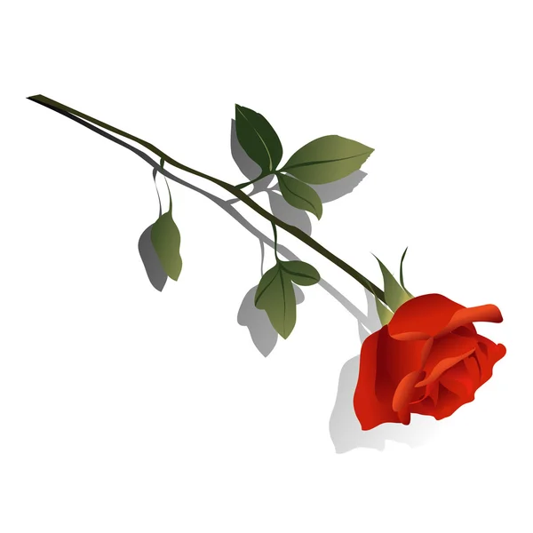 Vektorillustration einer roten Rose. ein Symbol für Liebe und Leidenschaft. — Stockvektor