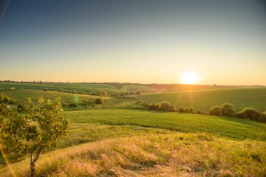 Sahne, tarım, eko-turizm, doğa ve açık hava sükuneti temaları için ideal olan kırsal kesimin sükunetini ve doğal güzelliğini yansıtıyor..
