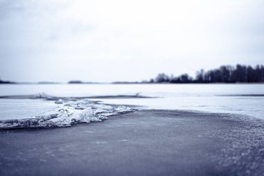 Frozen lake landscape with melting ice and bare trees in winter season.