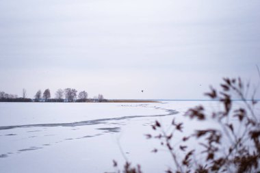 Frozen lake landscape with melting ice and bare trees in winter season.