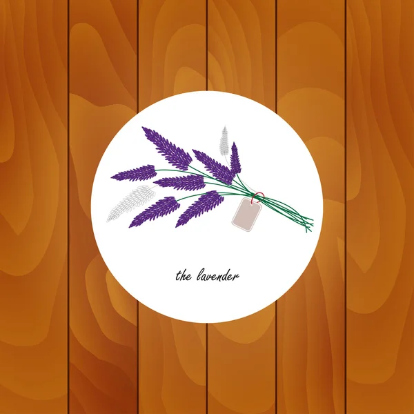 Hierbas medicinales y plantas sobre fondo de madera. Lavanda . — Vector de stock