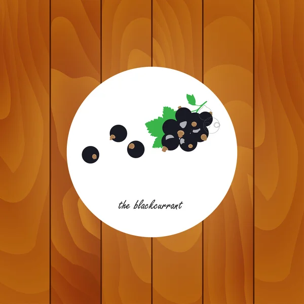 Heilkräuter und Pflanzen auf Holz-Hintergrund. Schwarze Johannisbeere. — Stockvektor