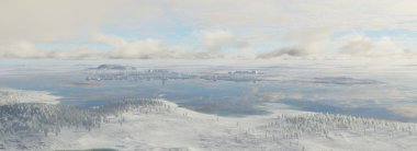 Arctic şehir