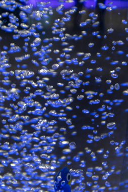 Renkli sudaki çok sayıda kabarcığın görüntüsü.