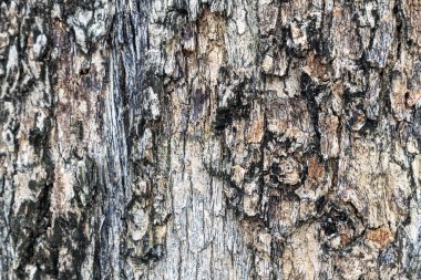 Kaba ahşap detaylarının arkaplan görüntüsü