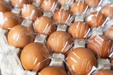 Korunmak için plastik kapaklı karton kutuda tavuk yumurtaları, yumurta işi, çapraz görüş