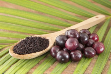amazon acai meyve.