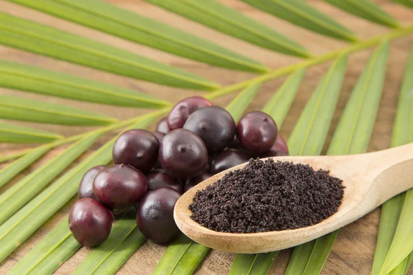 The amazon acai fruit. — Stock Photo, Image