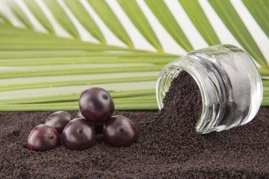 amazon acai meyve.
