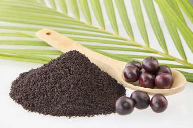 amazon acai meyve.