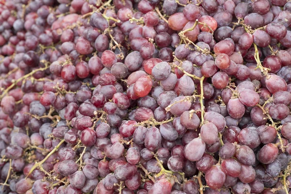 Groep van heerlijke druiven in supermarkt. — Stockfoto