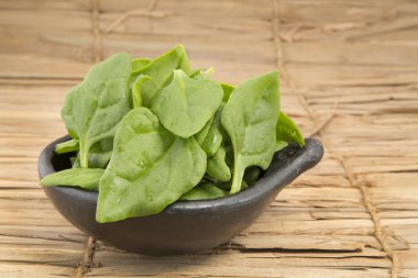 Beyaz arkaplanda ıspanak yaprakları.