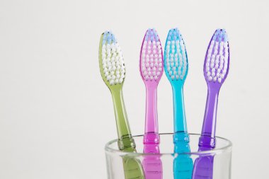 Grup diş fırçaları aile