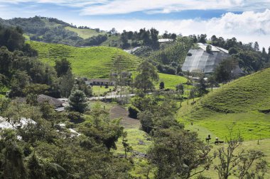 Kolombiya güzel dağlık manzara.
