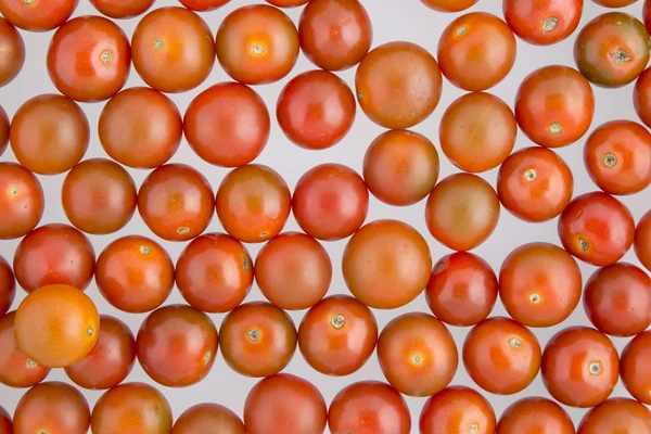 Tomates cherry ricos y rojos — Foto de Stock
