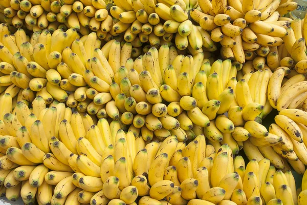 Miniature banana delicious fruit — Stock Photo, Image