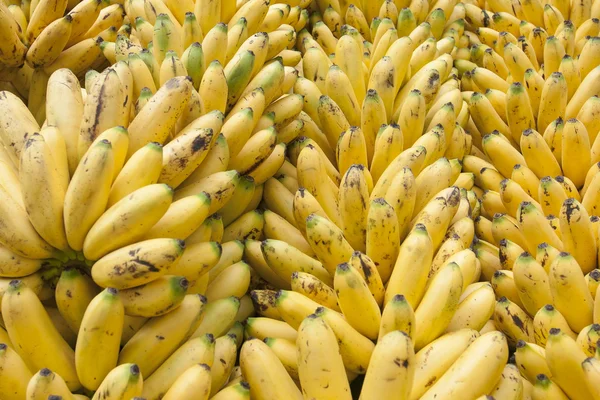 Miniature banana delicious fruit — Stock Photo, Image