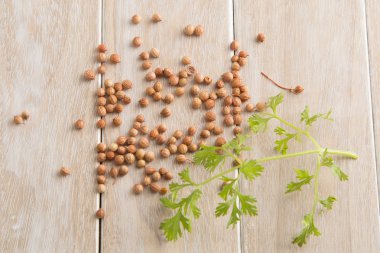 Kişniş ve ahşap arka plan yapraklarda