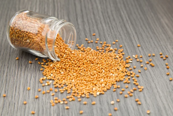 Granos de cereales de mijo con recipiente — Foto de Stock