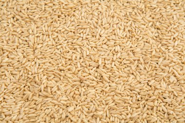 doğal yulaf arka plan, tahıllar kadar yakın